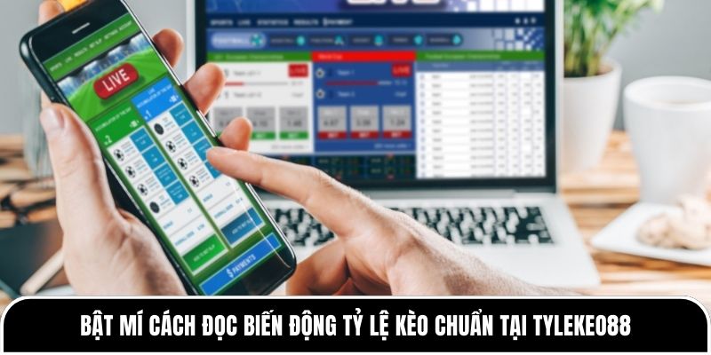 Bật mí cách đọc biến động tỷ lệ kèo chuẩn tại Tylekeo88