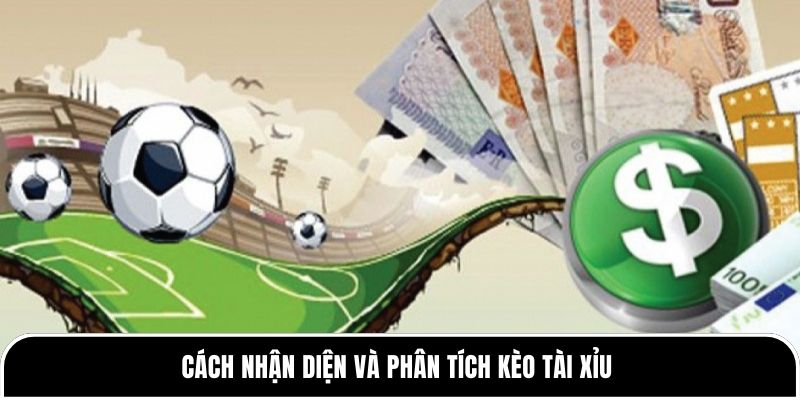 Phân Tích Kèo Tài Xỉu Theo Tỷ Lệ - Bí Quyết Chuẩn Cho Newbie 2 Cách nhận diện và phân tích kèo Tài Xỉu