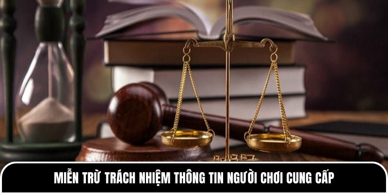 Miễn trừ trách nhiệm Tylekeo88 - Quy định quan trọng cần biết 1 Miễn trừ trách nhiệm thông tin người chơi cung cấp