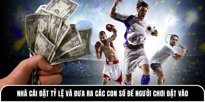 Nhà cái đặt tỷ lệ như thế nào? Giải thích chi tiết, dễ hiểu nhất 1 Nhà cái đặt tỷ lệ và đưa ra các con số để người chơi đặt vào