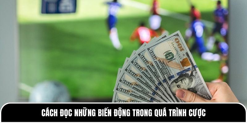 Kèo Tài 2.5: Cách Đánh Chuẩn, Né Bẫy Nhà Cái Từ Tylekeo88 3 Cách đọc những biến động trong quá trình cược