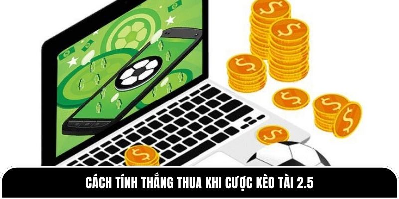 Kèo Tài 2.5: Cách Đánh Chuẩn, Né Bẫy Nhà Cái Từ Tylekeo88 2 Cách tính thắng thua khi cược kèo Tài 2.5